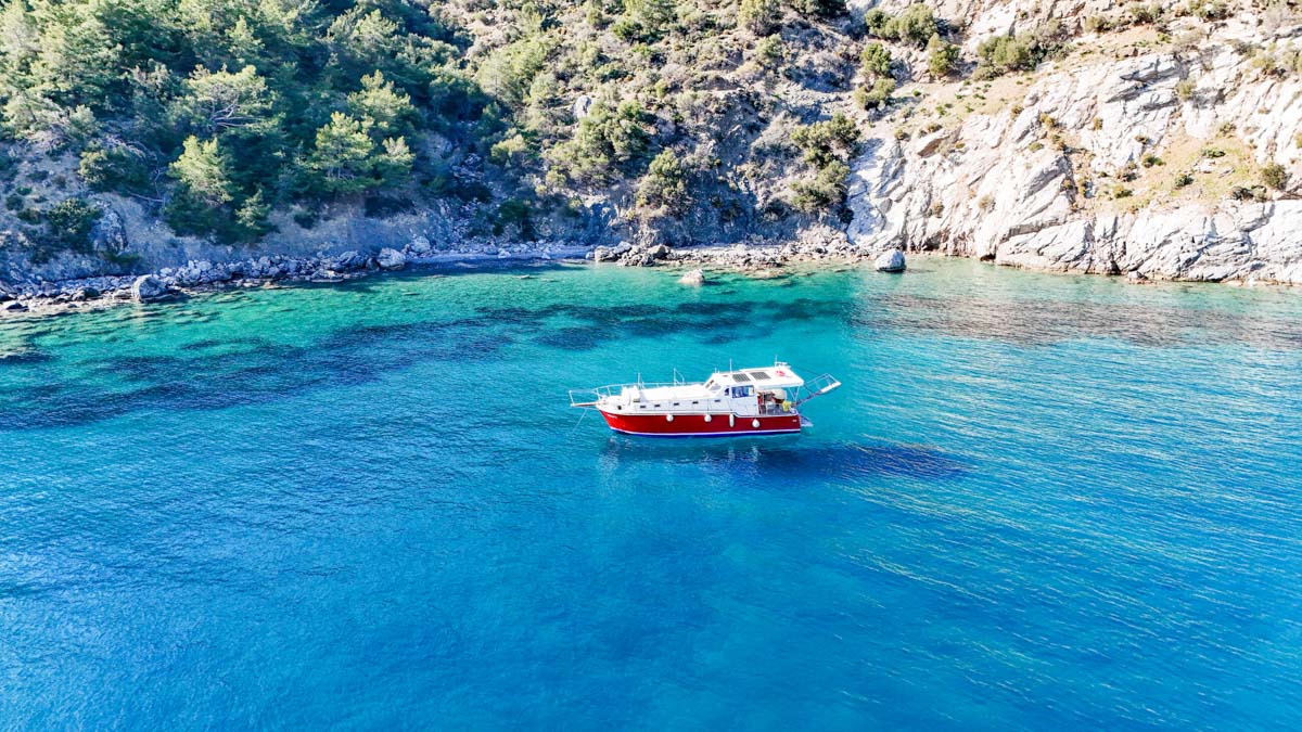 First sample avatar image