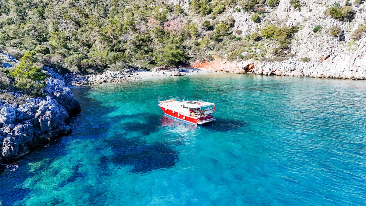 First sample avatar image