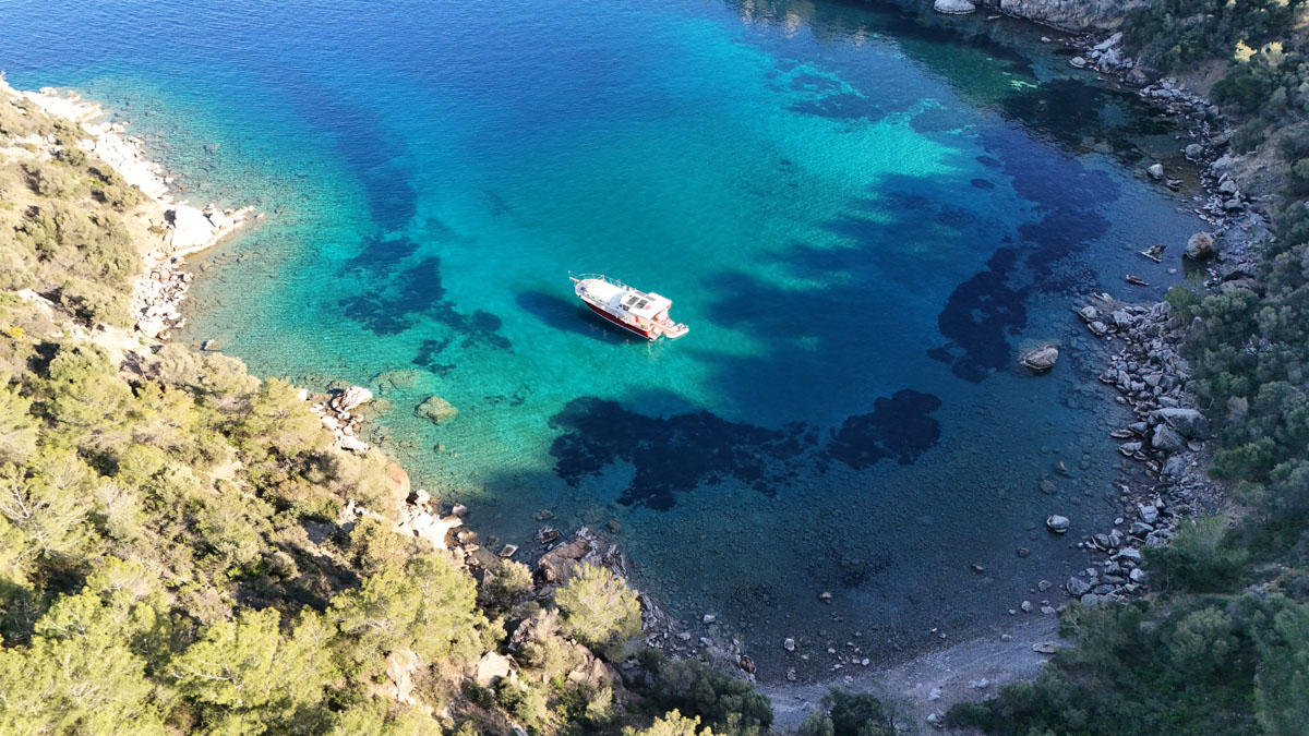 First sample avatar image