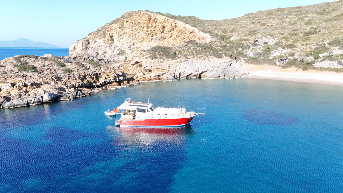 First sample avatar image